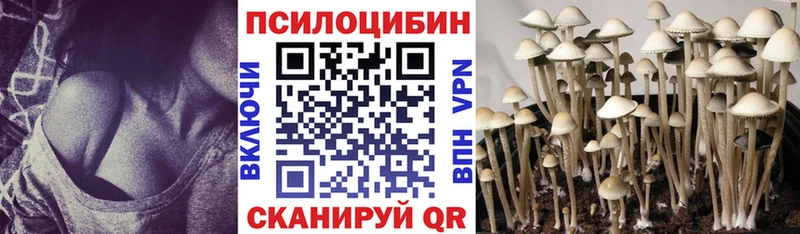 Галлюциногенные грибы MAGIC MUSHROOMS  Невьянск 